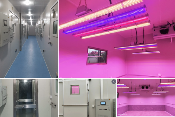 1665735771621825.png 浙江省金華市農科院人工氣候室項目.png