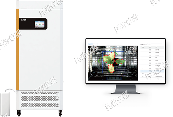 1742196837166451.png 1.png