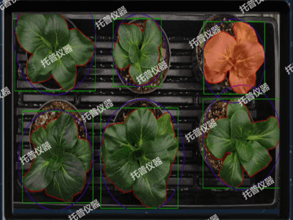 1742196886260431.gif 4(1).gif