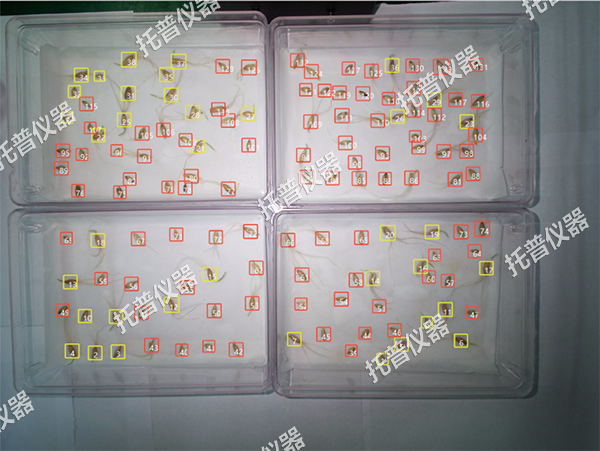 1742196906383398.png 6.png